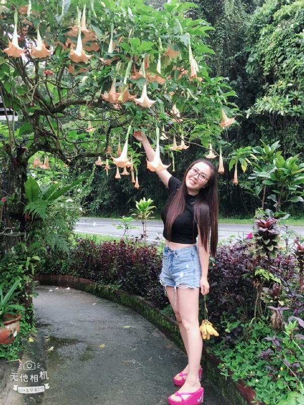 离异单身无子的第二张照片--包头相亲服务中心