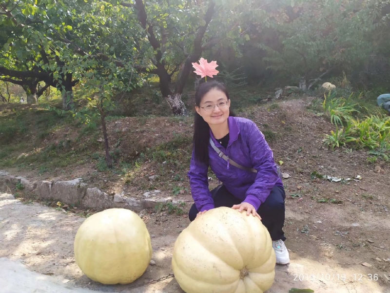 海绵宝宝的第一张照片--包头相亲服务中心