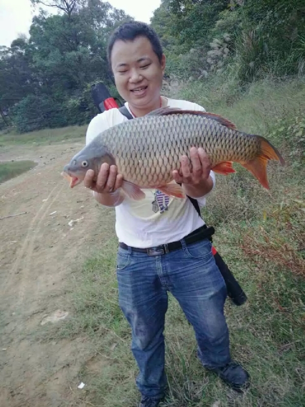 迷路的男人的第一张照片--包头相亲服务中心